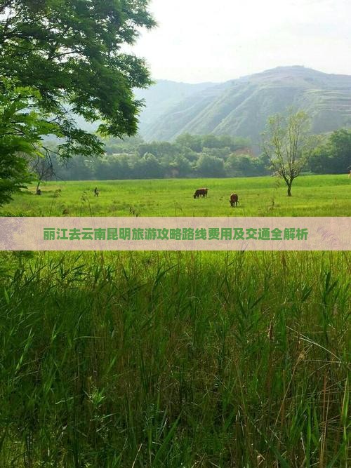 丽江去云南昆明旅游