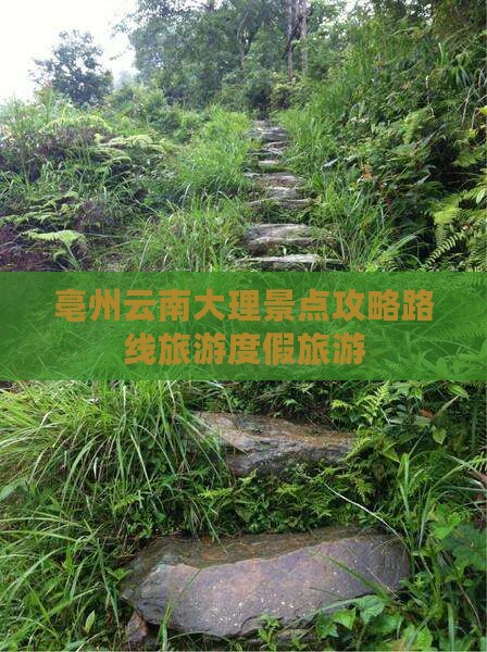 亳州去云南大理一日