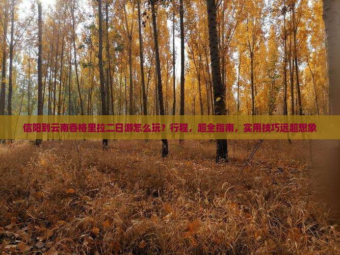 信阳到云南香格里拉二日游