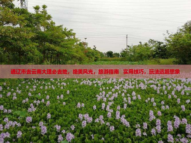 通辽市去云南大理必去地