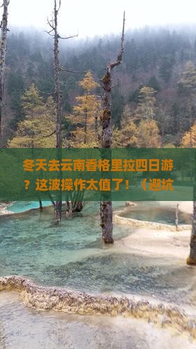 冬天到云南香格里拉四日游