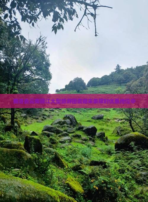 商洛去云南丽江大型旅游团 商洛去云南丽江大型旅游团