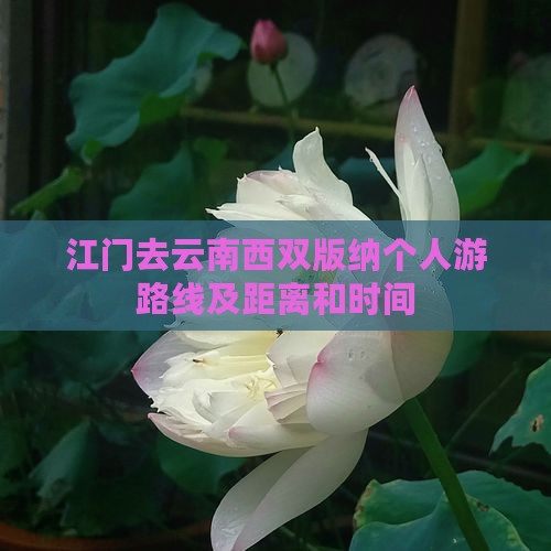 江门去云南西双版纳个人游