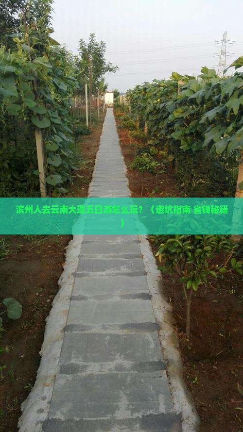 滨州去云南大理五日游