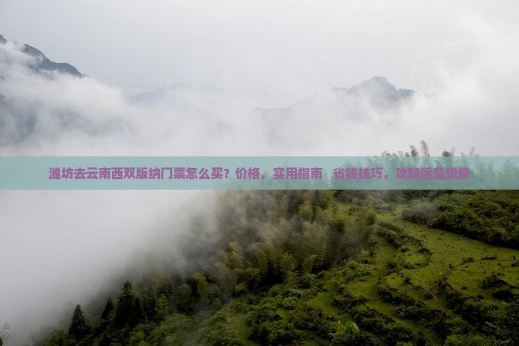 潍坊去云南西双版纳门票