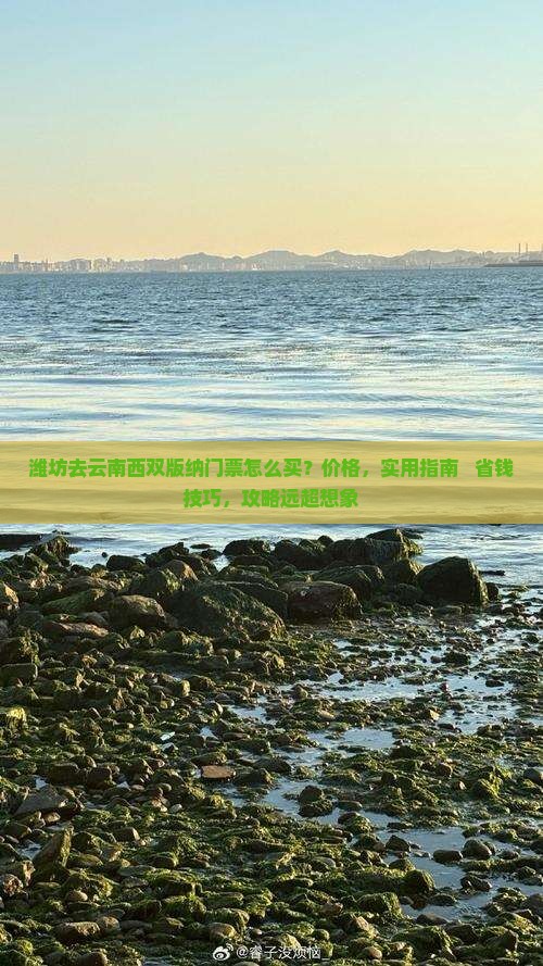 潍坊去云南西双版纳门票