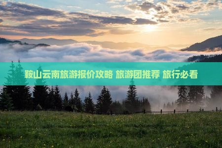 鞍山去云南古城旅行社