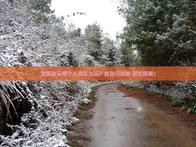 宣城去云南个人游