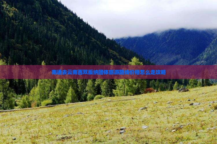 南通去云南西双版纳团体旅游
