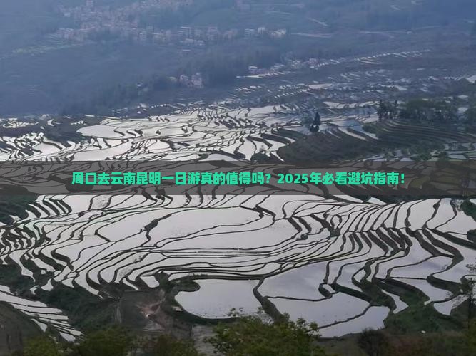 周口去云南昆明一日