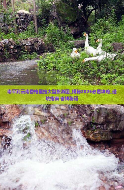 南平到云南香格里拉大型旅游团