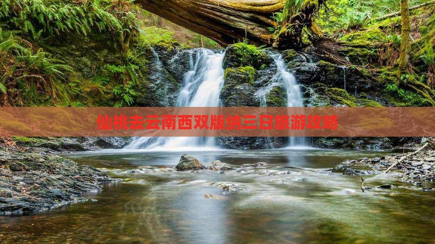 仙桃去云南西双版纳三日游