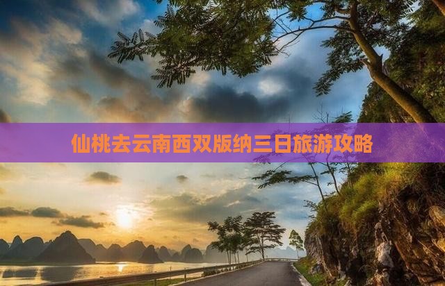 仙桃去云南西双版纳三日游