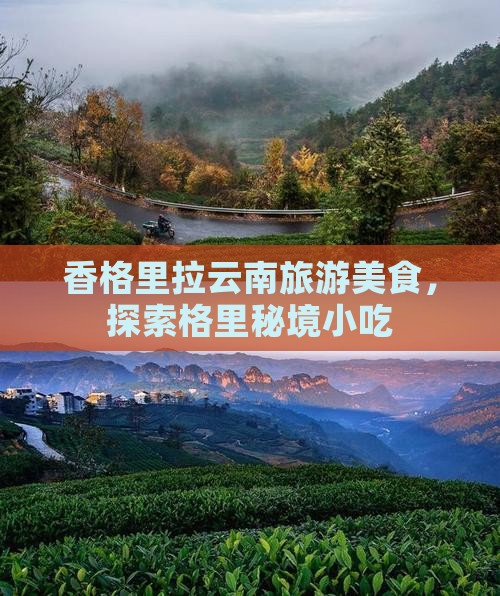 清明节去云南香格里拉旅游小吃