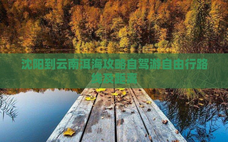 沈阳到云南洱海攻略