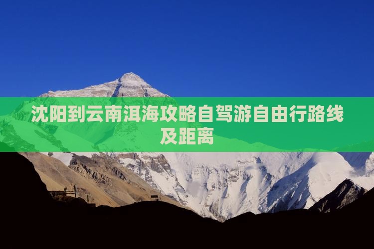 沈阳到云南洱海攻略