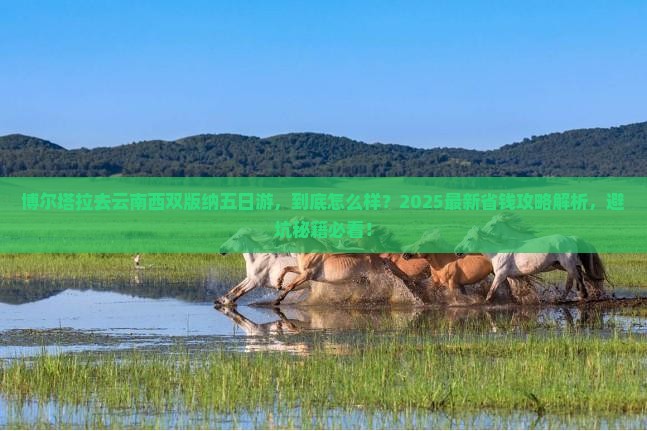 博尔塔拉去云南西双版纳五日游