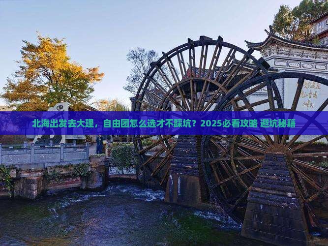 北海到云南大理自由团
