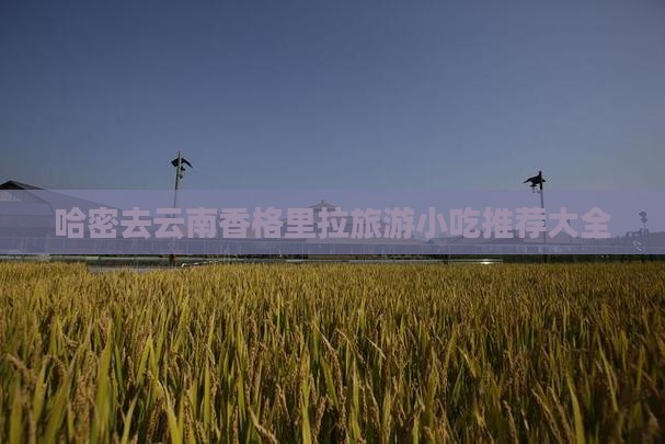 哈密去云南香格里拉旅游小吃