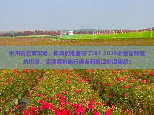 泰州去云南攻略