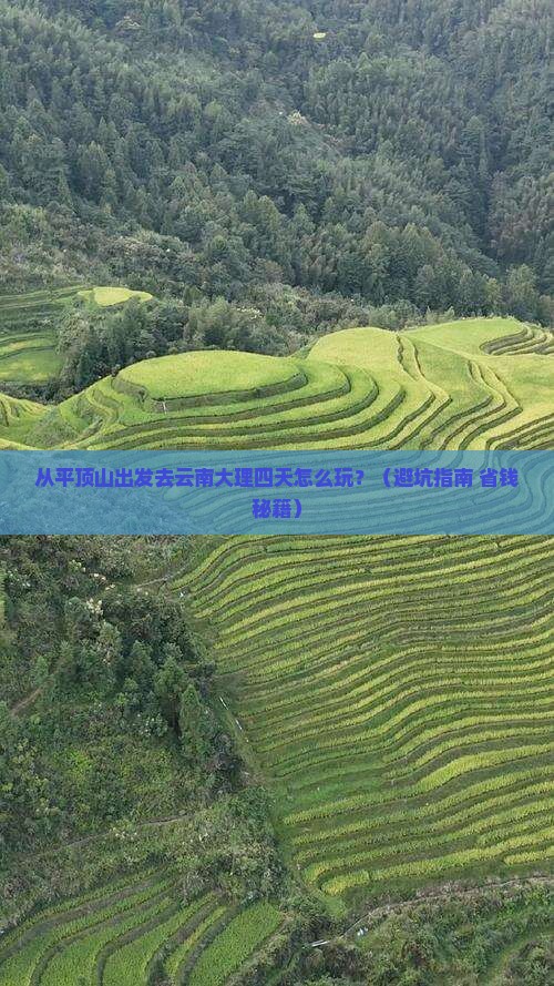 平顶山去云南大理四日游