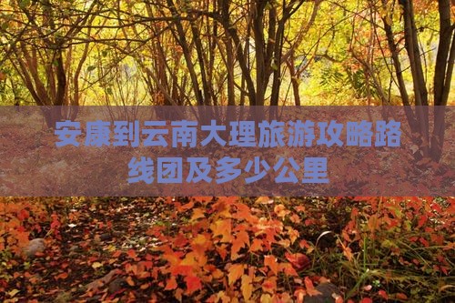 安康到云南大理旅游
