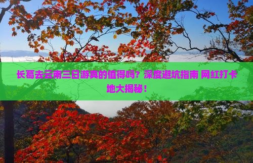 长葛去云南三日游