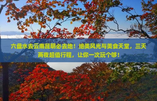 六盘水去云南昆明必去地
