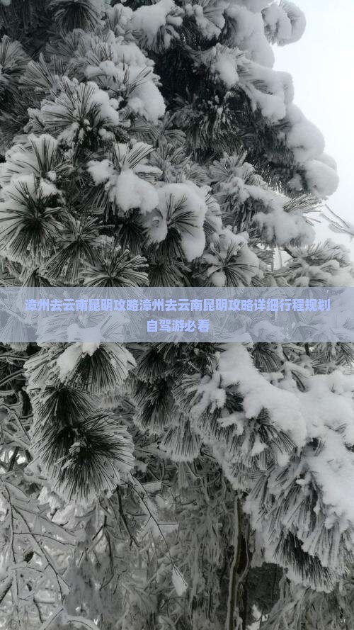 漳州去云南昆明攻略