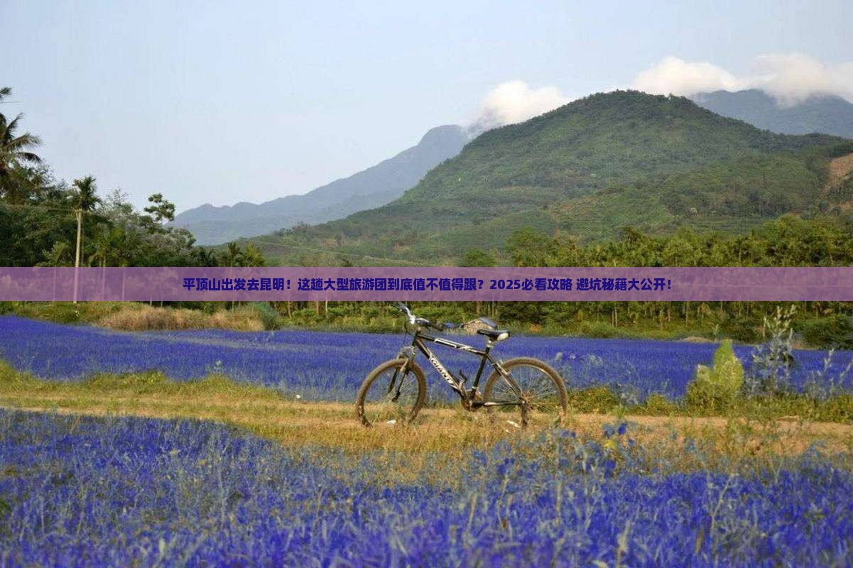 平顶山去云南昆明大型旅游团