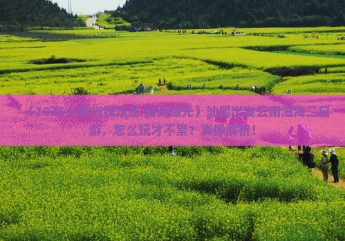 汕尾到云南洱海二日游