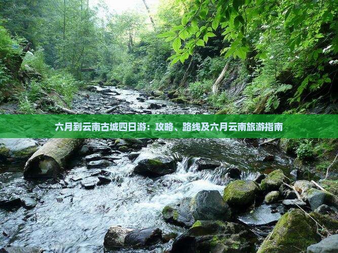 六月到云南古城四日游
