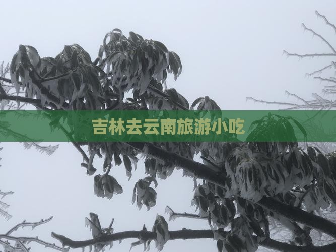 吉林去云南旅游小吃