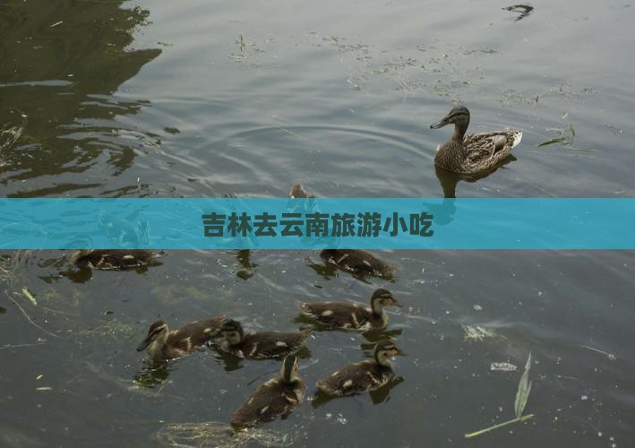 吉林去云南旅游小吃