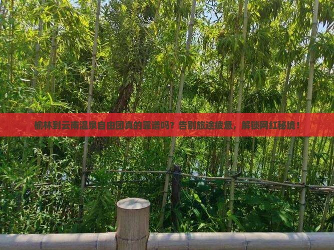 榆林到云南温泉自由团