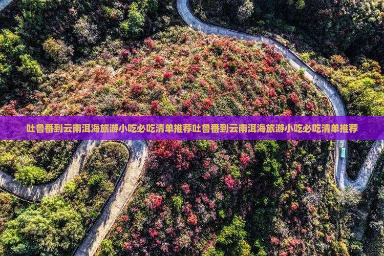 吐鲁番到云南洱海旅游小吃