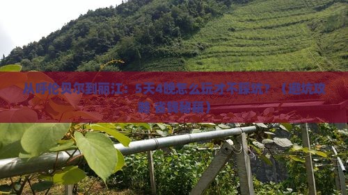 呼伦贝尔去云南丽江团体旅游
