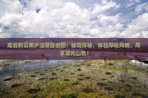 龙岩到云南泸沽湖自由团