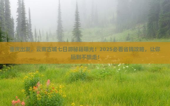 重庆到云南古城七日游
