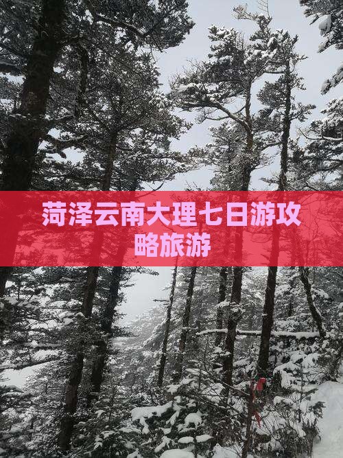 菏泽去云南大理七日游