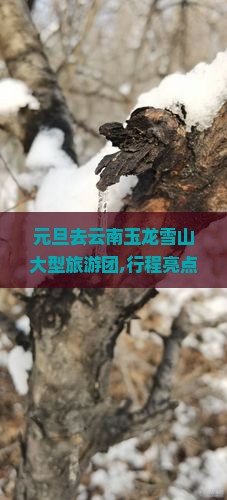 元旦去云南玉龙雪山大型旅游团