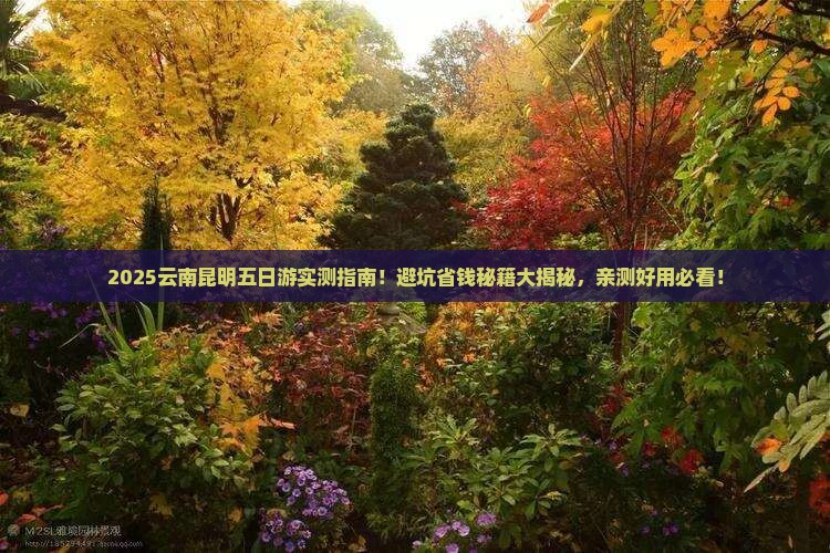 大庆去云南昆明五日游