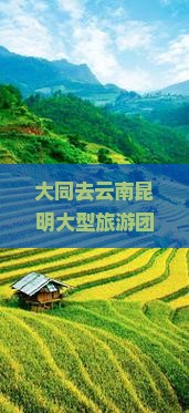 大同去云南昆明大型旅游团