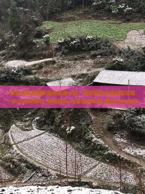 保定去云南西双版纳旅游小吃