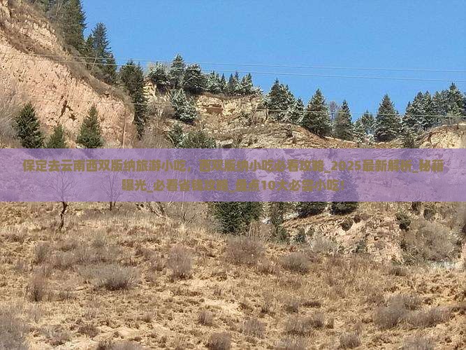 保定去云南西双版纳旅游小吃