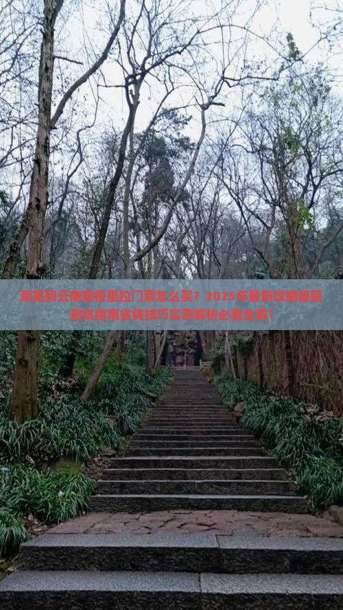 莱芜到云南香格里拉门票