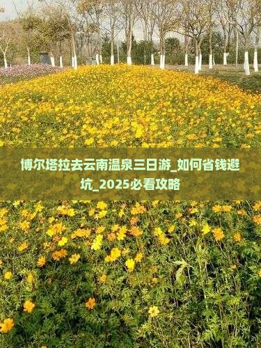 博尔塔拉去云南温泉三日游