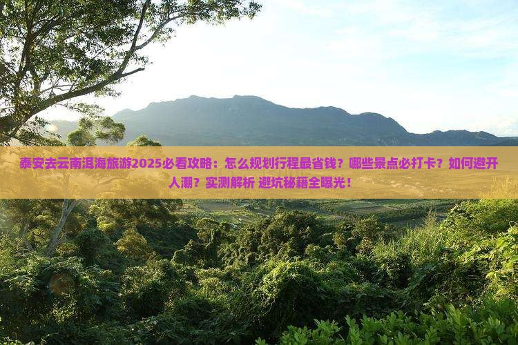 泰安去云南洱海旅游