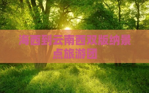 海西到云南西双版纳团体旅游