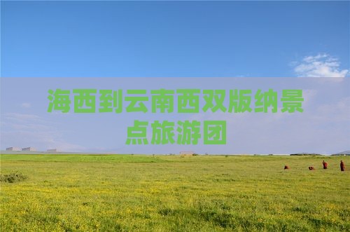 海西到云南西双版纳团体旅游